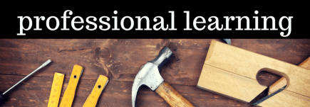 critical friend groups (1)